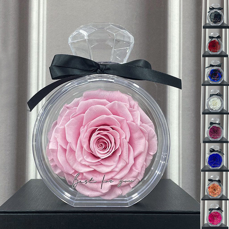 Eternal Rose in Glass Box – Perfect Valentine's Day Gift