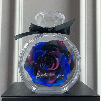 Eternal Rose in Glass Box – Perfect Valentine's Day Gift