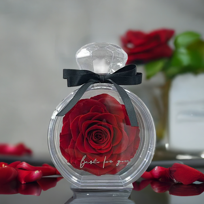 Eternal Rose in Glass Box – Perfect Valentine's Day Gift