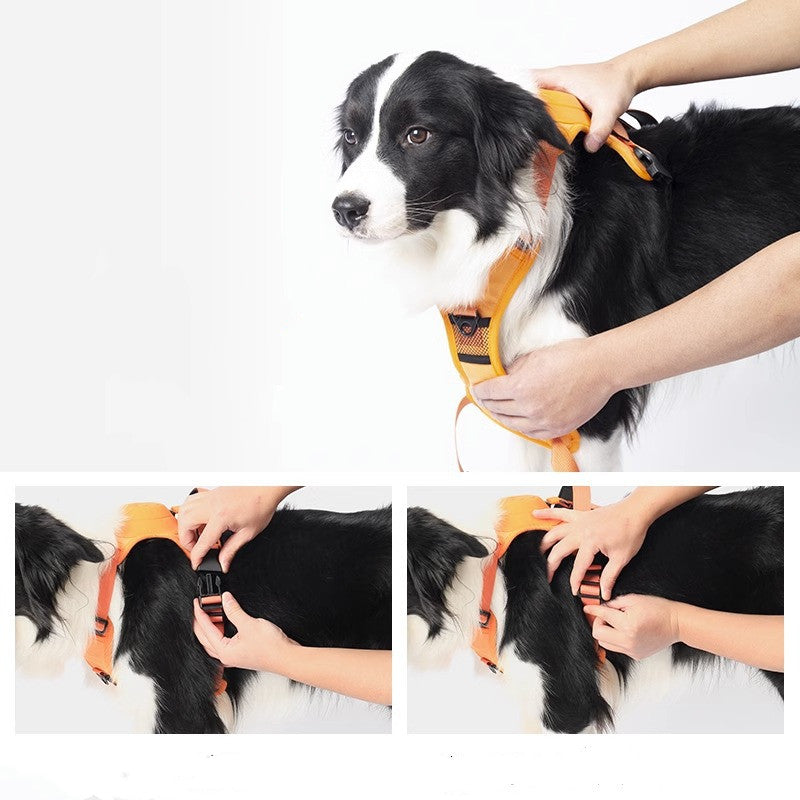 Dog harness collar