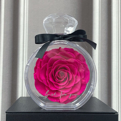 Ewige Rose in Glasbox – perfektes Valentinstagsgeschenk