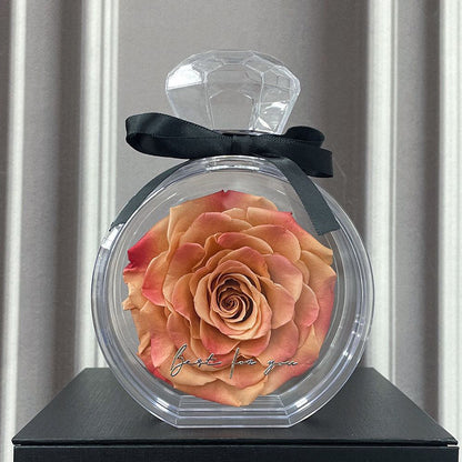 Eternal Rose in Glass Box – Perfect Valentine's Day Gift