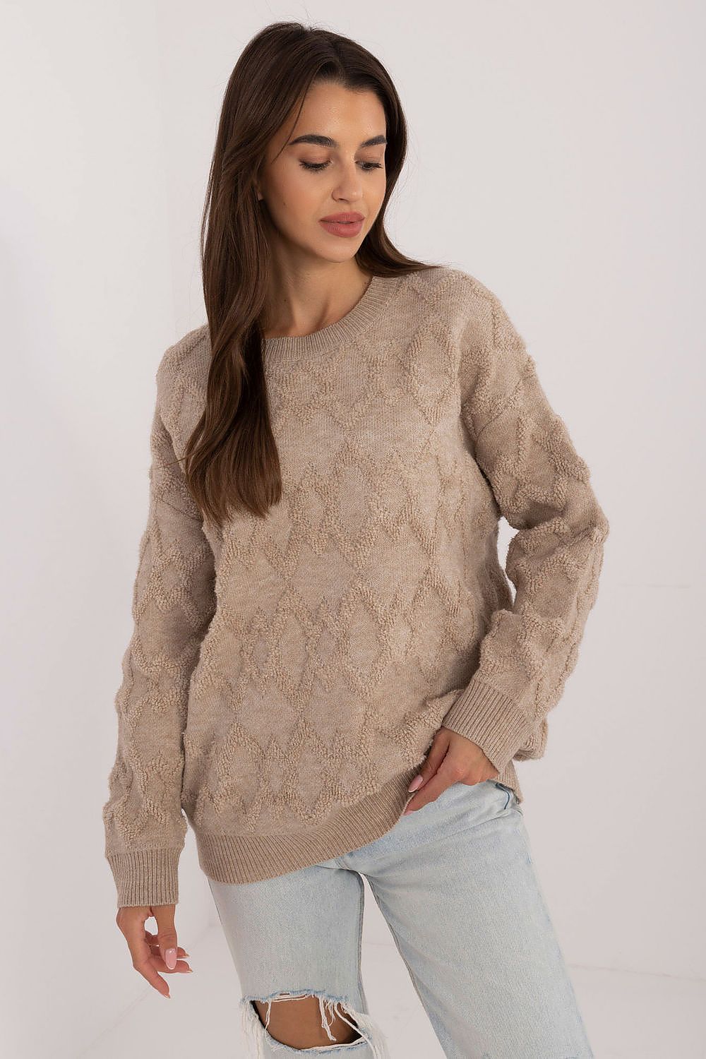 sweater model 199641 AT