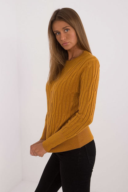 sweater model 200198 AT