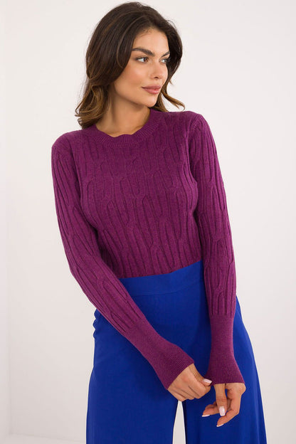 sweater model 200198 AT