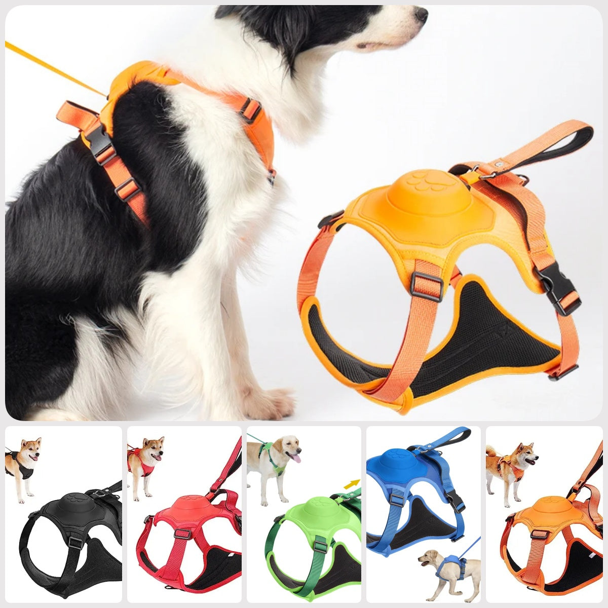 Dog harness collar