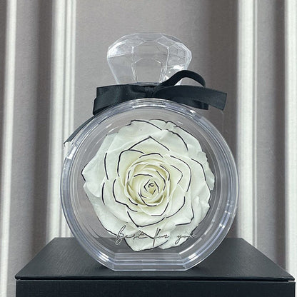 Eternal Rose in Glass Box – Perfect Valentine's Day Gift