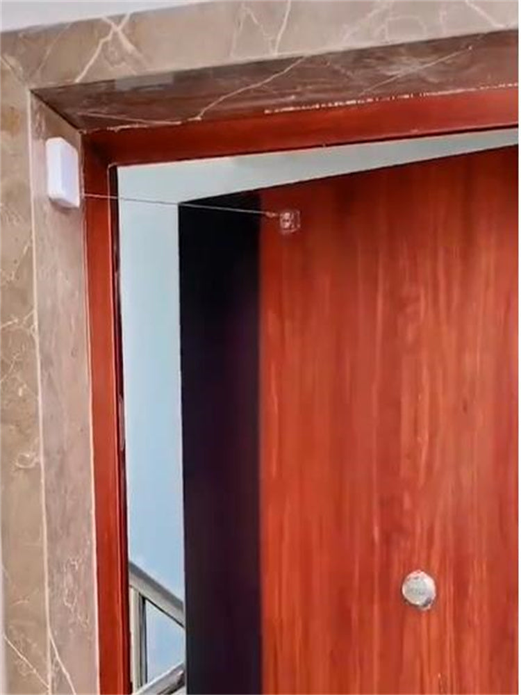 Secure shut-Automatic door closer